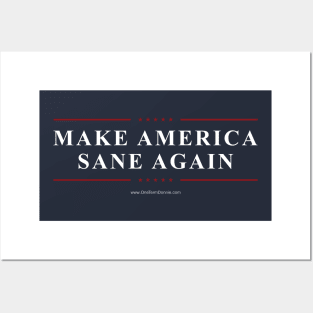 Make America Sane Again Posters and Art